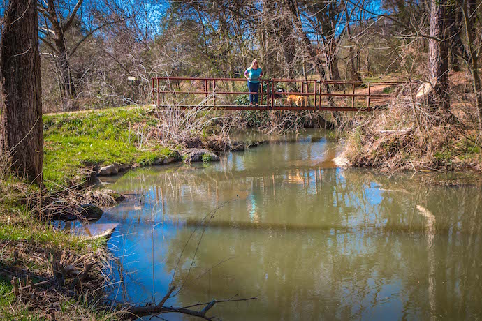 Nature Trail at Calhoun Rock Garden