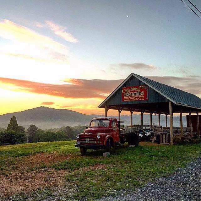 BJ Reece Orchards in Ellijay GA