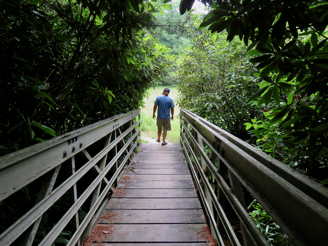 Blue Ridge Music Center - High Meadows Trail