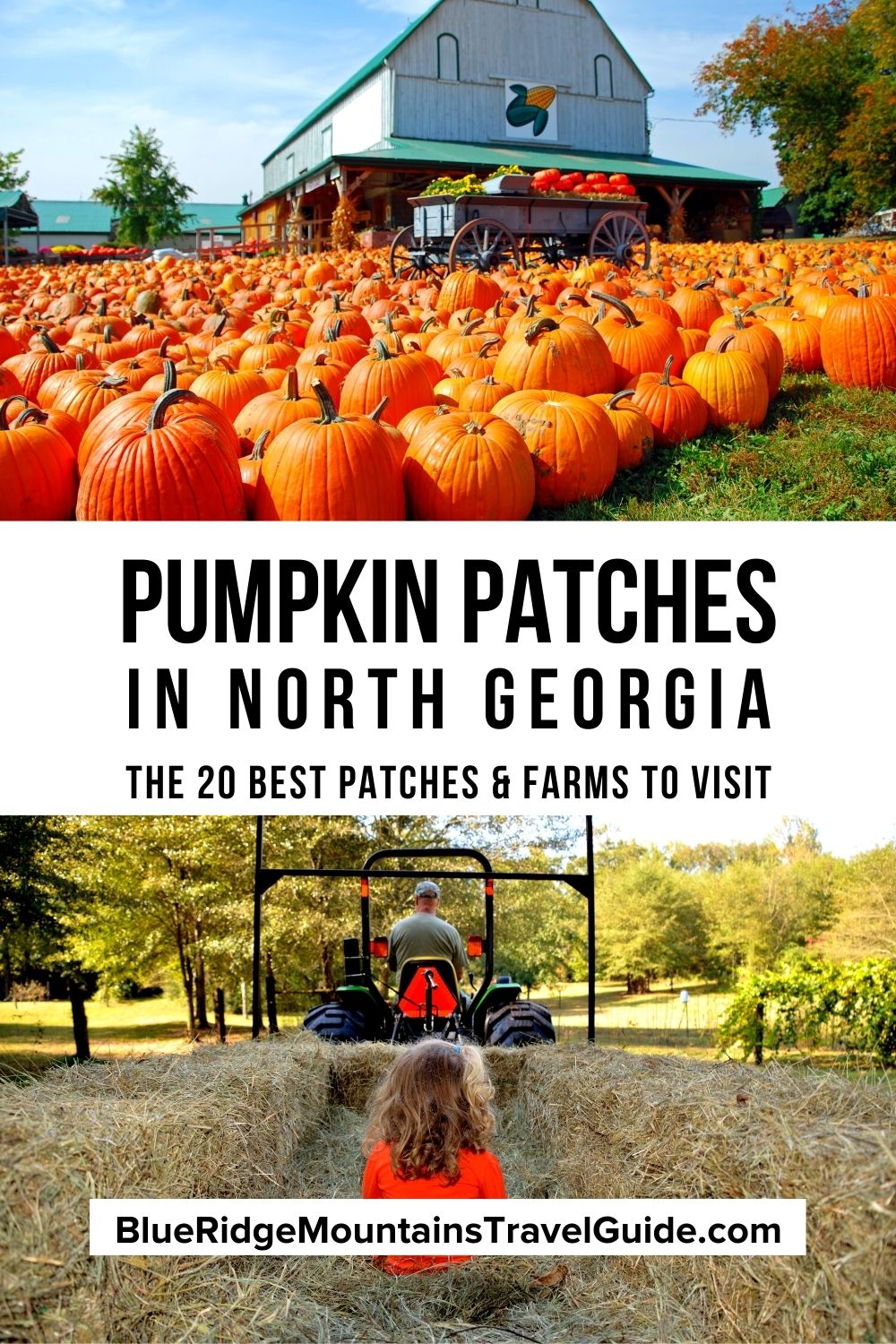 The 20 Best Pumpkin Patches in North to Visit