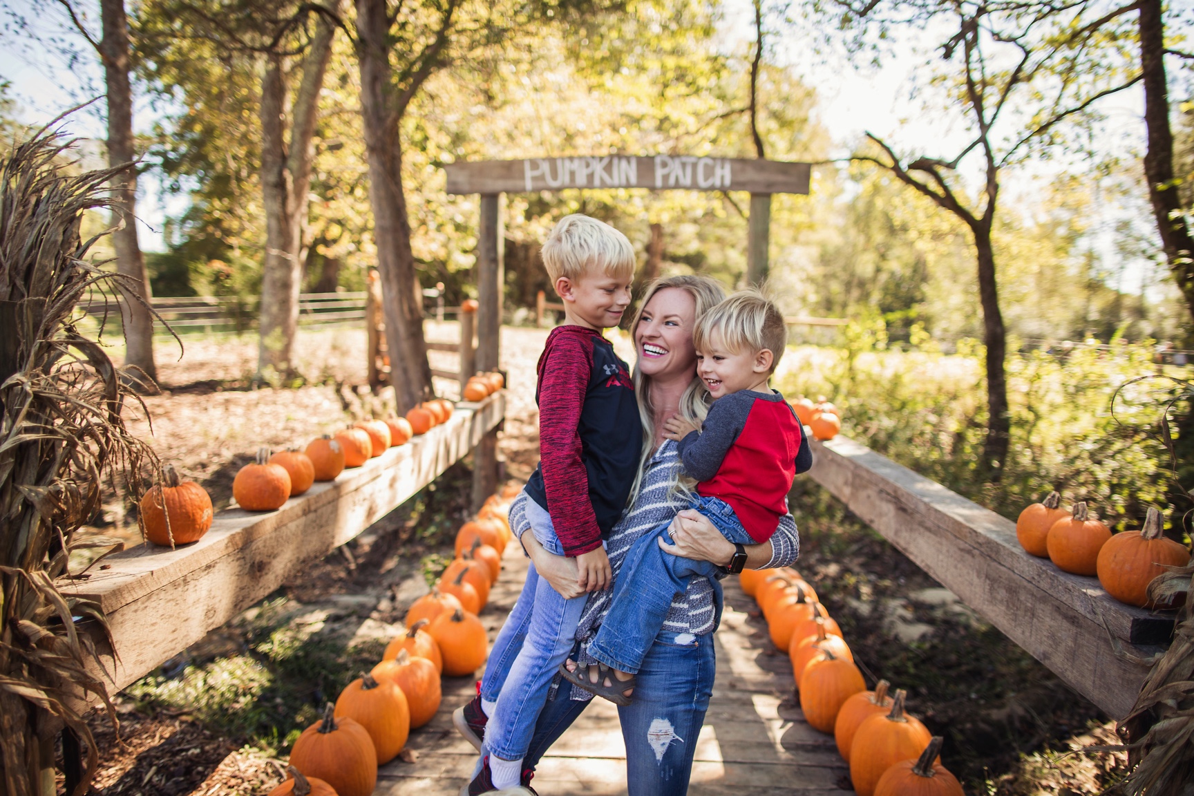 b&b farm - pumpkin patch charlotte nc