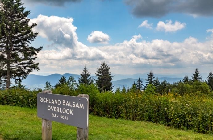 Richard Balsam Overlook