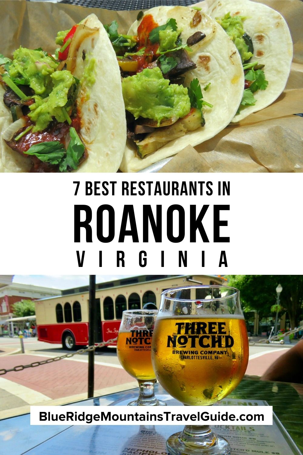 The 10 Best Restaurants in Roanoke VA (Virginia's Blue Ridge) Blue