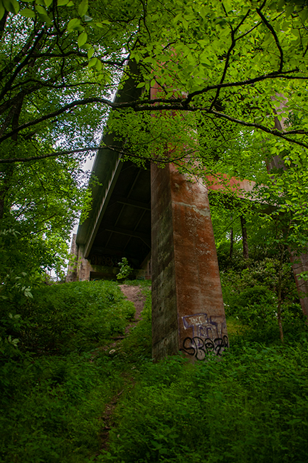 Green Knob Trail