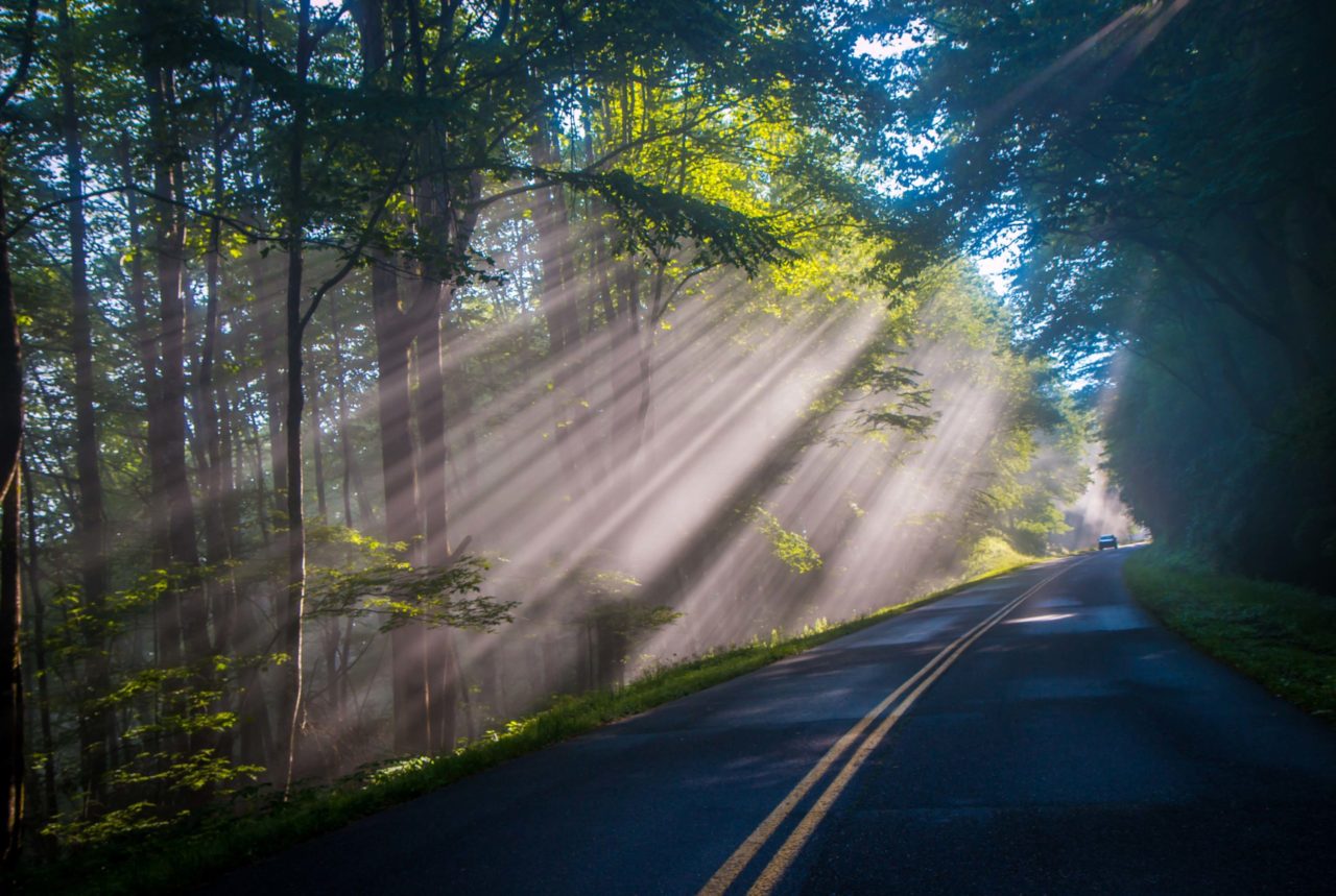 Sun Rays on the Blue Ridge Parkway