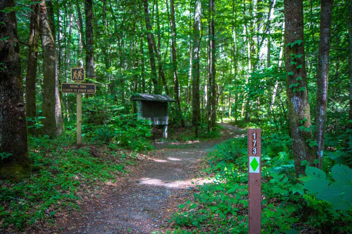 Beginning of Horsetrough Falls Trail at Upper Chattahoochee River Campground 