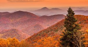 Fun Ways to Experience Fall in Georgia