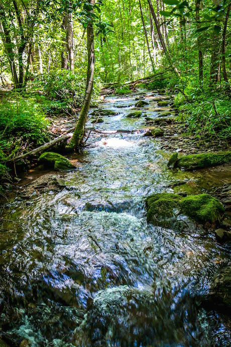 Headwaters of the Chattahoochee River on the Horsetrough Falls Trail in Helen GA