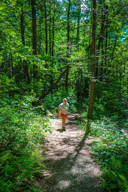 Hiking the Horsetrough Falls Trail Near Helen GA