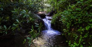 Raven Cliff Falls in Helen GA