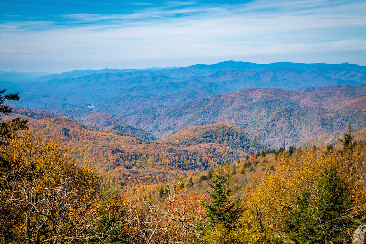 Waterrock Knob Overlook BRP MM 451.2