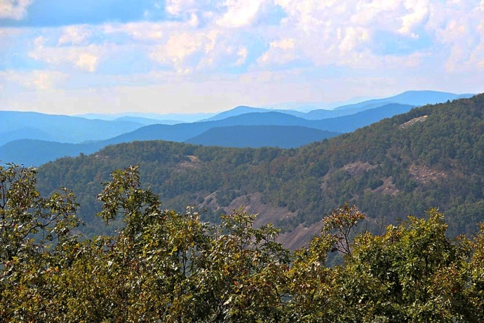 Appalachian Trail in Georgia -Cowrock Mountain