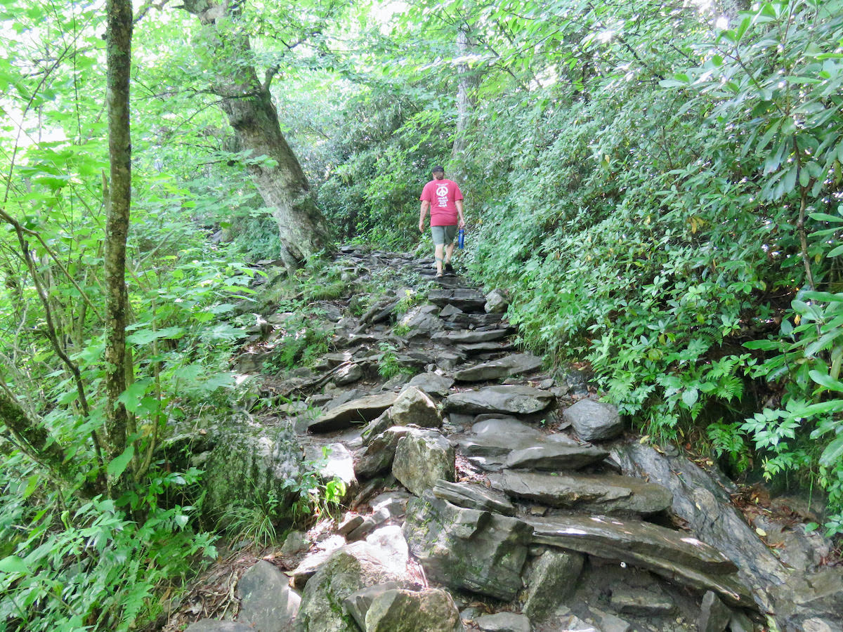 Camping near Asheville North Carolina - Mt. Pisgah