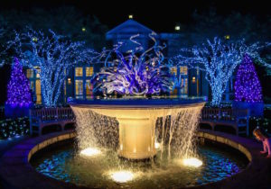 Garden Lights, Holiday Nights: Atlanta Botanical Garden Christmas Lights