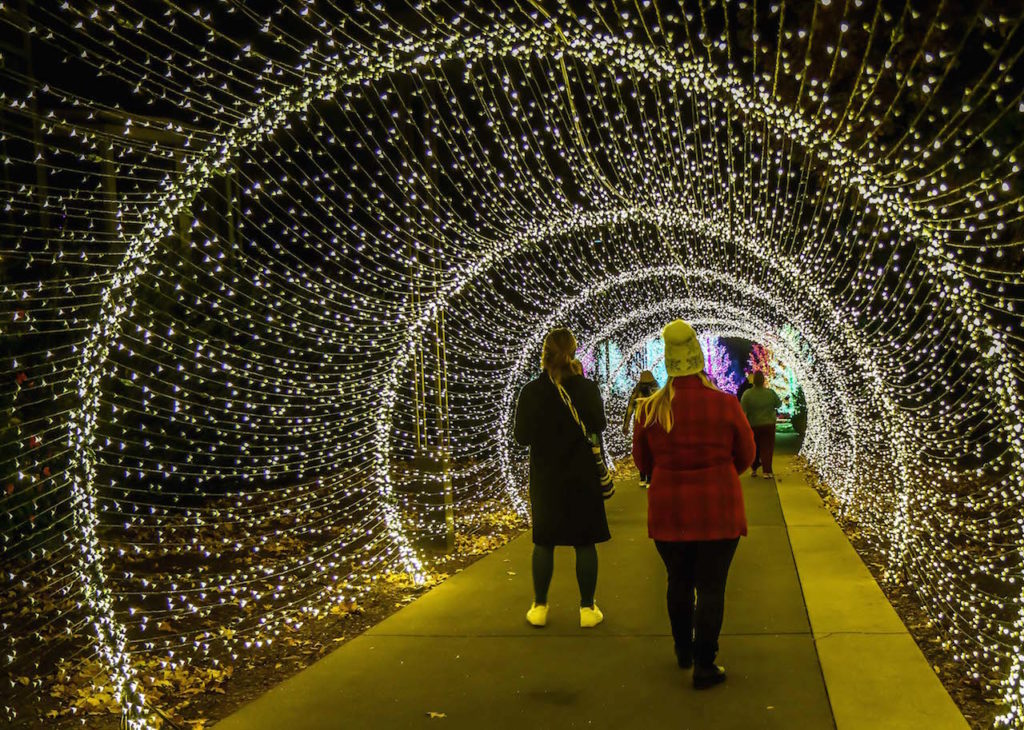Garden Lights, Holiday Nights Atlanta Botanical Garden Christmas Lights