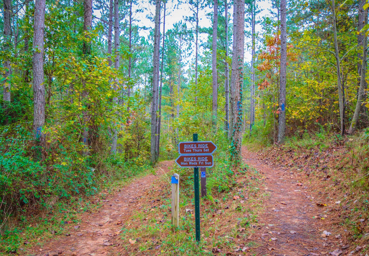 Bike Path at Talking Rock Nature Reserve in Ellijay GA 