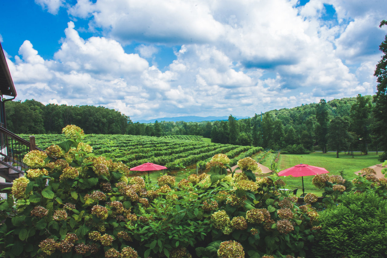 Engelheim Vineyards in Ellijay GA