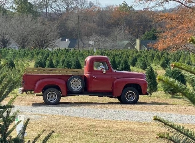 Silver Creek Christmas Tree Farm in Georgia