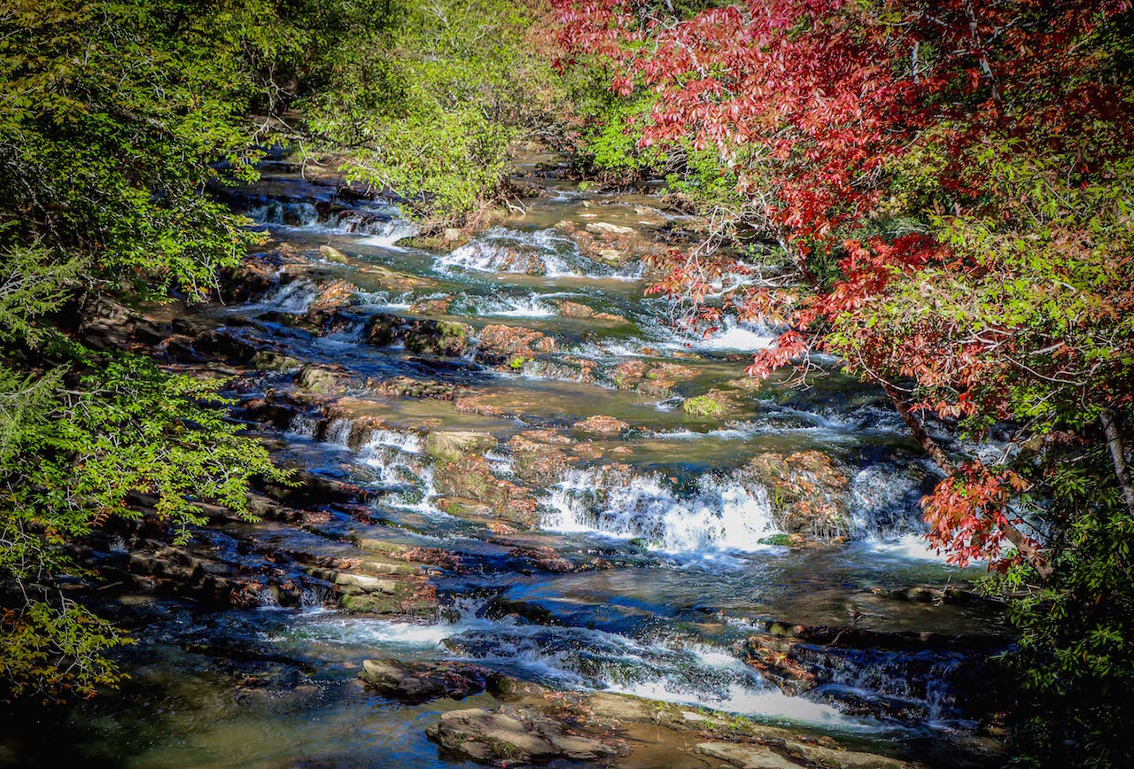 Hiking the Tumbling Waters Trail at Carters Lake in Ellijay GA