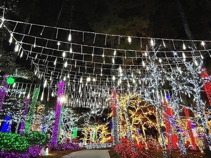 lights of joy, christmas lights in ga