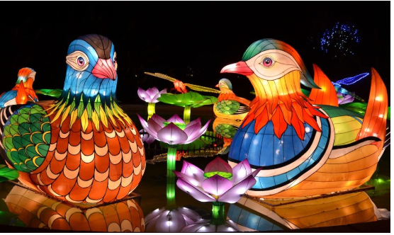 Zoo Christmas lights in GA