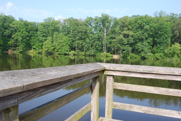 Best Lakes in VA - Bear Creek Lake