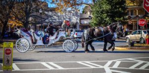 Carriage Ride in downtown Dahlonega GA