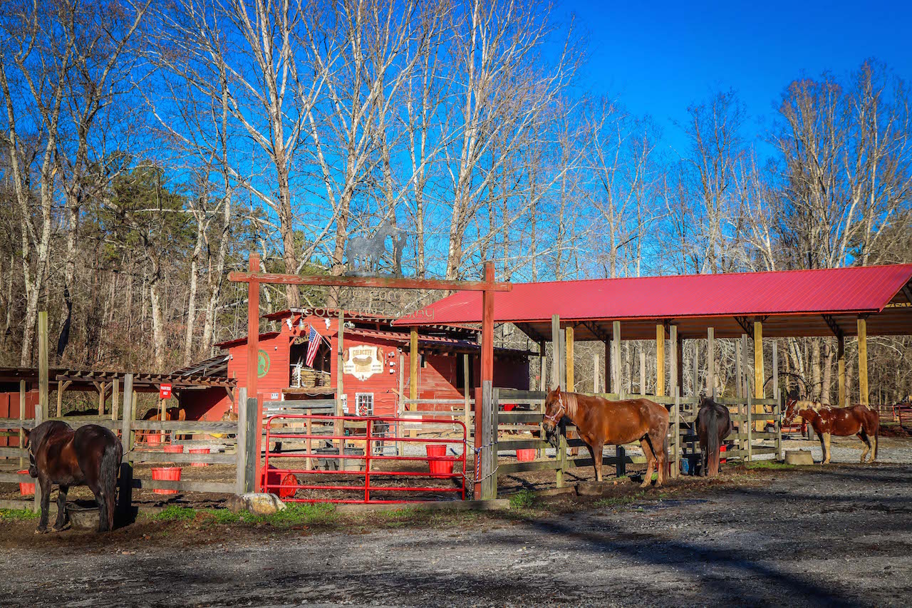 Horseback Riding at Forrest Hills Resort in Dahlonega GA