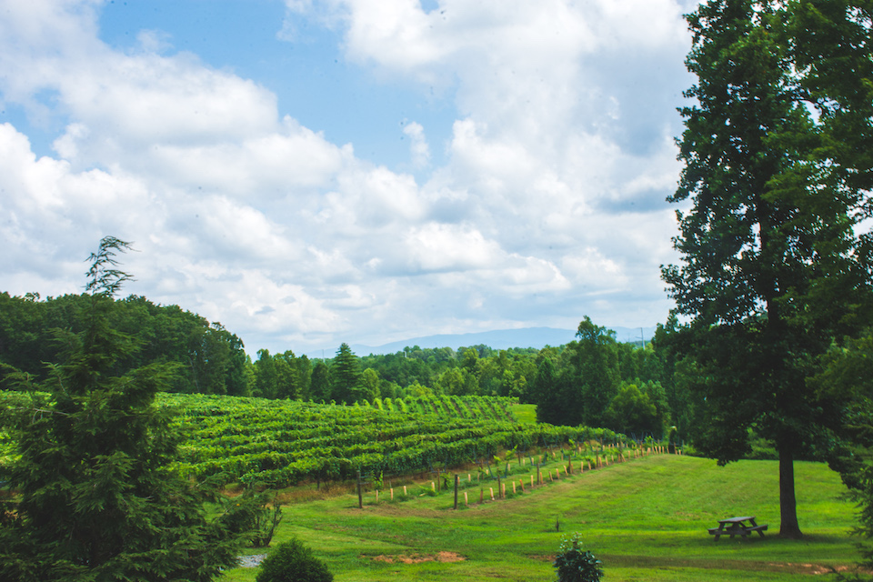 Engelheim Vineyards - Georgia winery 