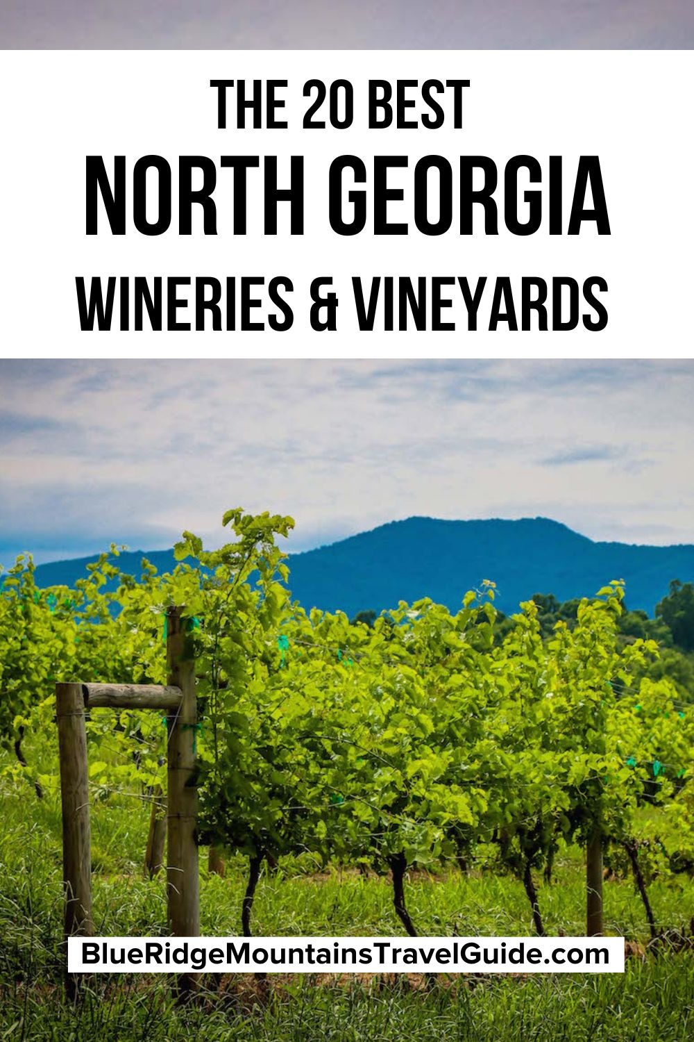 The 20 Best Wineries in the North Georgia Mountains including info on tours, tastings, and their best wines! | ga wine | georgia winery | ga winery | north ga wineries | north ga winery | north georgia wine | north georgia wineries | winery in georgia | wineries in north georgia | georgia wineries | wine from georgia | wines of georgia | wineries in georgia | winery in north ga | winery in ga | vineyards in georgia | vineyard in north georgia |