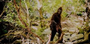 Sasquatch aka. Bigfoot - Appalachian legends and folktales