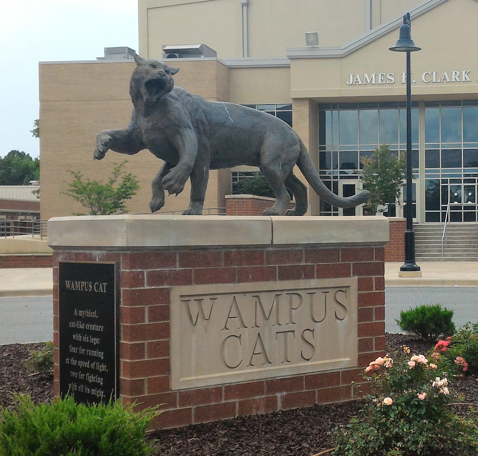 Wampus Cats
