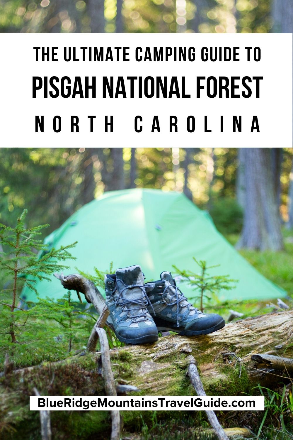 Our Pisgah National Forest Camping Guide covers official campgrounds and camping options in the Pisgah, Grandfather, and Appalachian Districts. | camping near asheville north carolina | pisgah national forest campsites | camping in pisgah national forest | pisgah campground | camping in pisgah | pisgah camping | pisgah national forest campgrounds | pisgah national forest nc | camping near pisgah national forest | campgrounds near pisgah national forest |