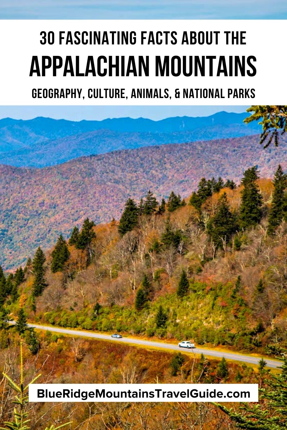 30 Fascinating Facts about the Appalachian Mountains, including geological/geographical info, culture, people, animals, plants and national parks. | where are the appalachian mountains | people of appalachian mountains | appalachian mountain region | appalachian mountains range | what states are the appalachian mountains in | states of the appalachian mountains | how old is the appalachian mountains | appalachian mountains facts | the highest peak in the appalachian mountains |