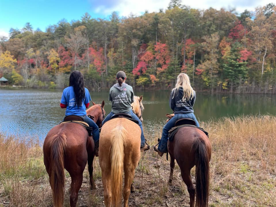 Appalachian trail Rides at S&T Stables - horseback riding North GA