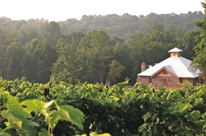 Elkin Creek Vineyard Wineries near Elkin NC