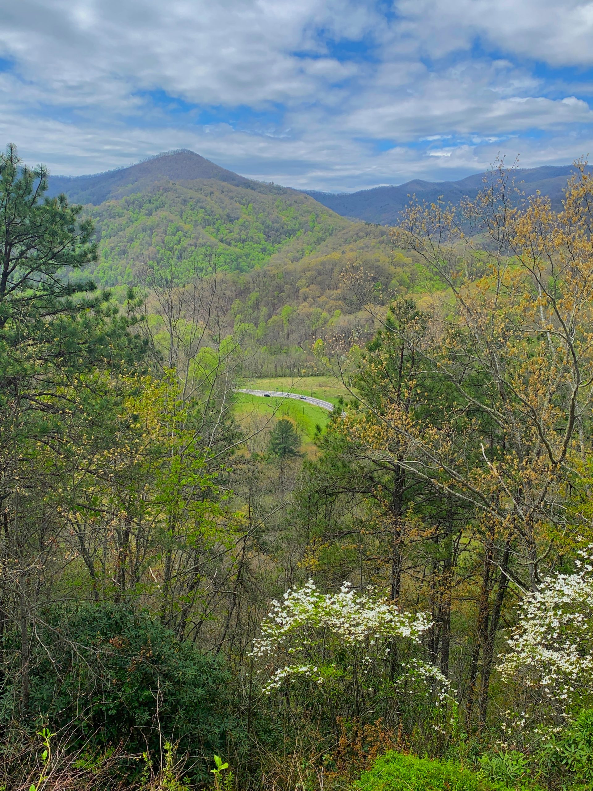 Oconaluftee River Valley