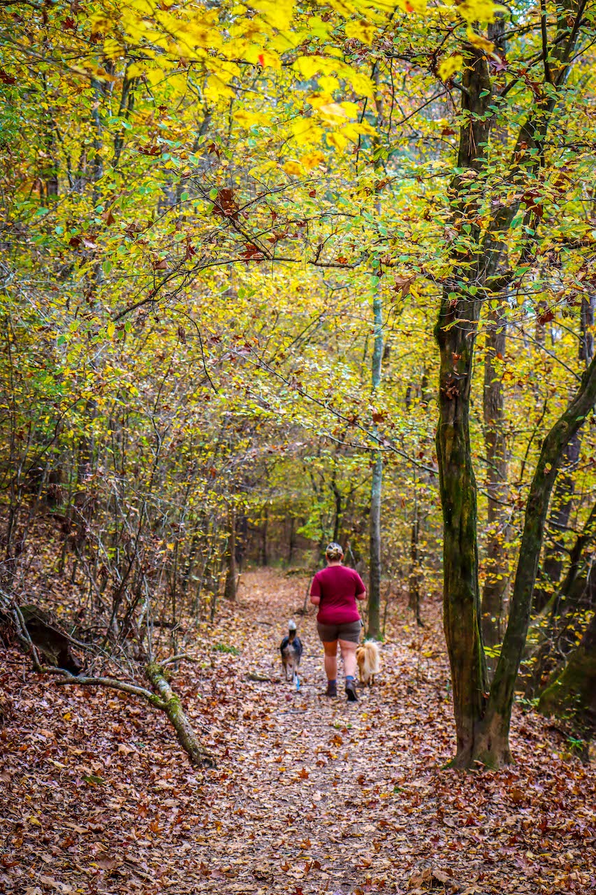Olde Rope Mill Park Hiking Trail