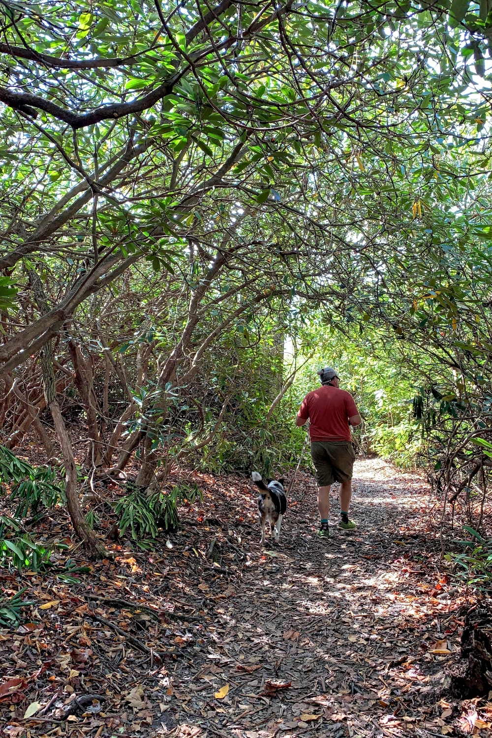 Price Lake Trail at Julian Price Campground and Memorial Park
