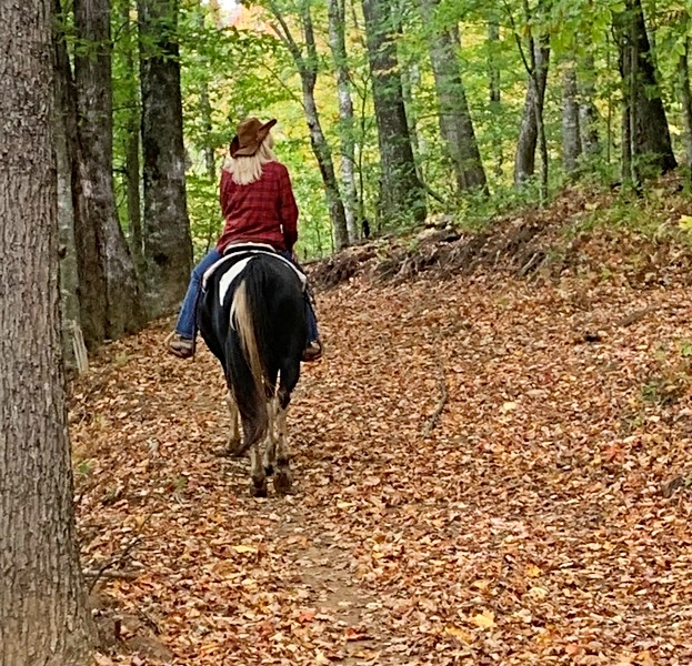 Asheville horseback riding -The Stables at Bucktown