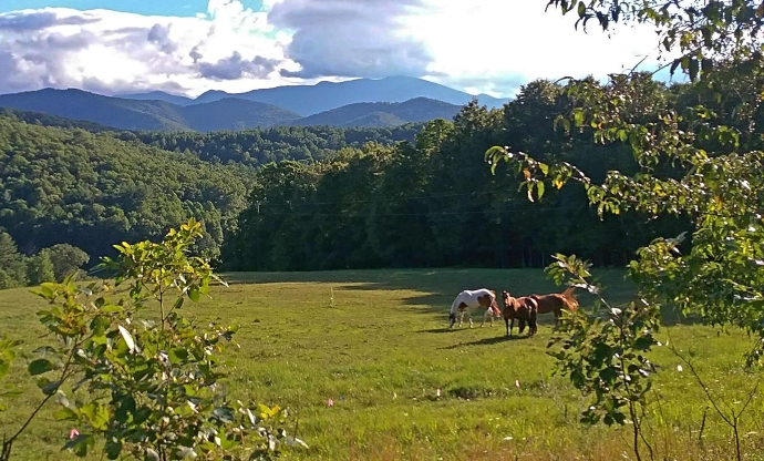 Asheville horseback riding - Blue Ridge Horse Adventures