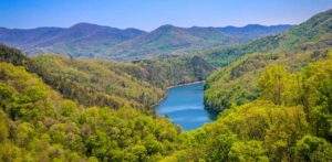 Camping in Nantahala National Forest (Campgrounds & Backcountry)