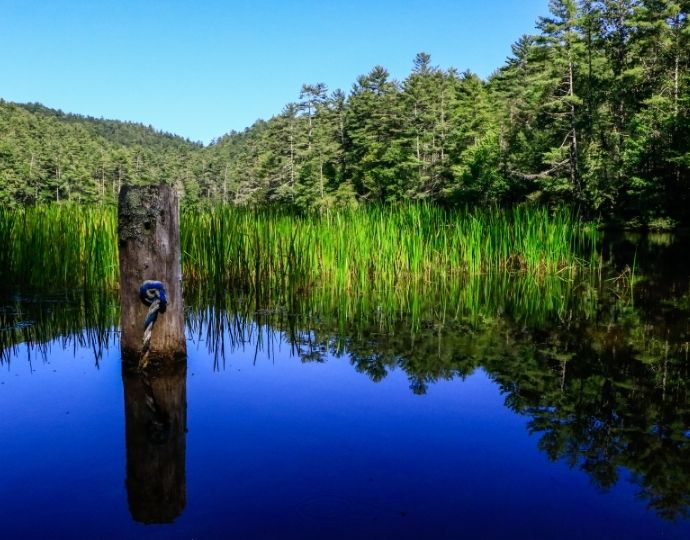 Camping In Nantahala National Forest (Campgrounds & Backcountry)