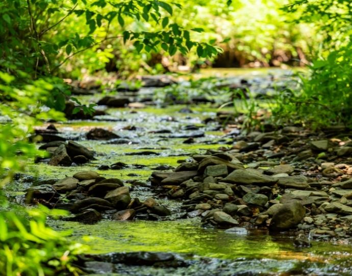 Fire Creek in North Carolina - camping in nantahala national forest 