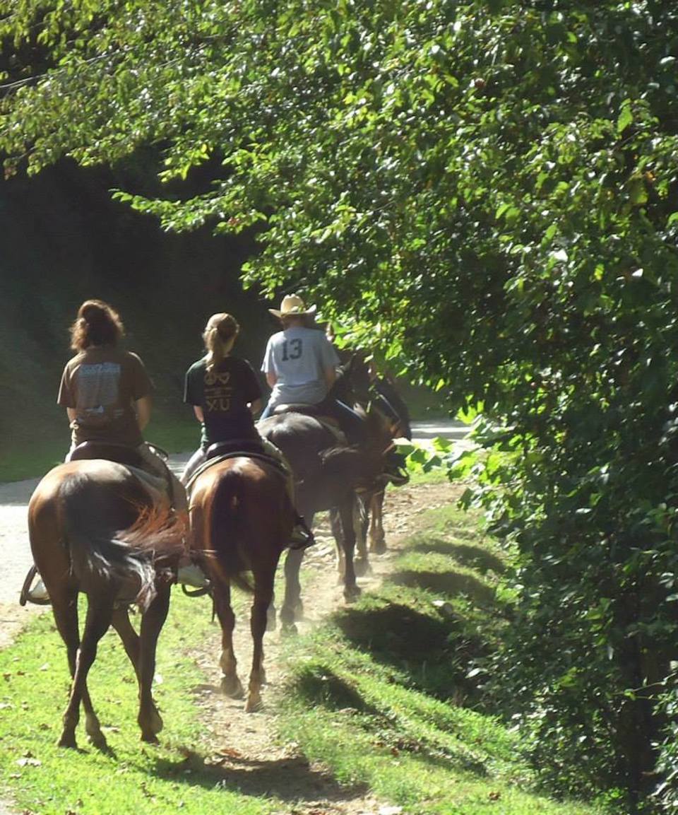 Horseback Riding near Bryson City - Nantahala Village Riding Stables