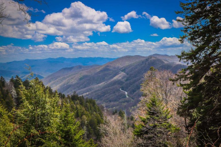 The 15 Best Great Smoky Mountains - Newfound Gap In Cherokee NC 768x512