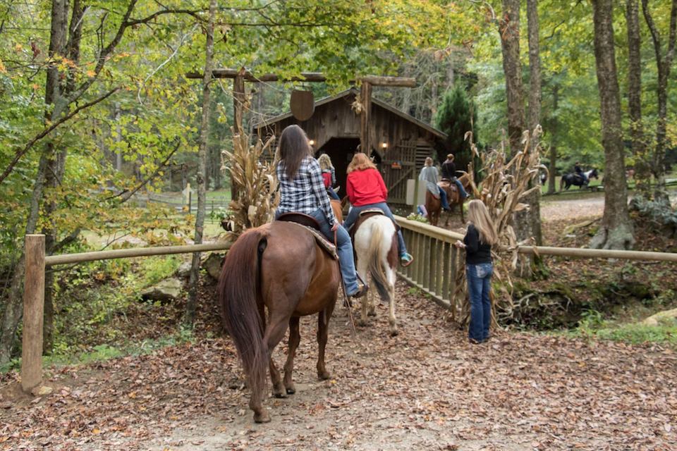 Horse Riding Near Asheville - The Stables at Bucktown