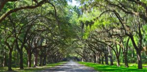 Wormsloe State Historic Sites in GA entrance