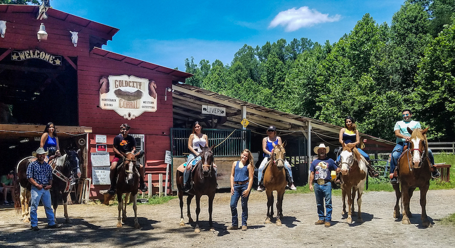 Gold City Corral & Carriage Company  - Georgia horseback riding
