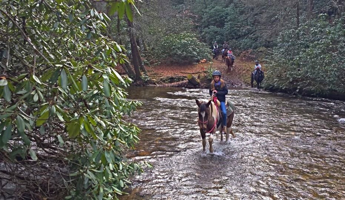Horseback riding in North Carolina -Saddle Up Trail Rides